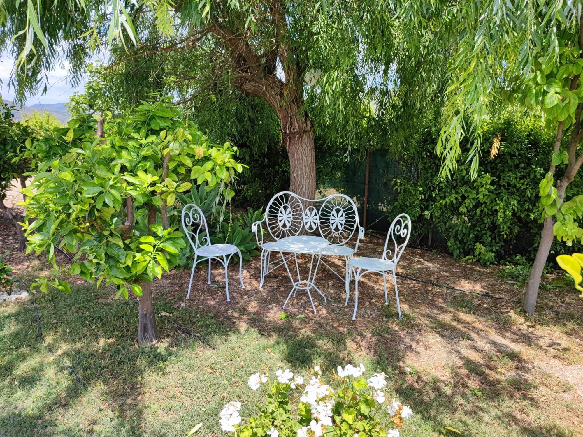 Els Tarongers Perfect For Families Or Friends Ferienhaus